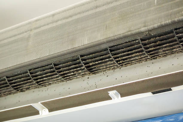 Best Professional Duct Cleaning Services  in Bishop, TX